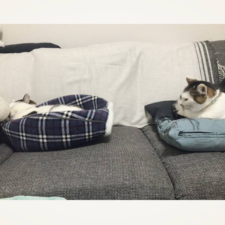 27b71a46 4a56 4f2c ae28 ae8a404a775a 1549854486885