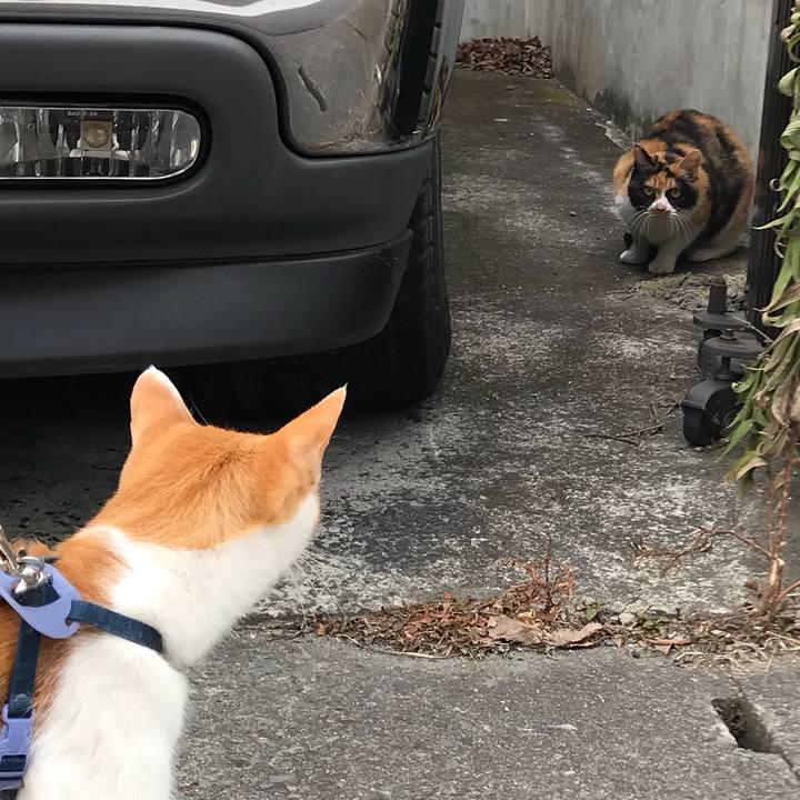 27b7259a 3ed2 4658 829d 98f32f04f9c6 1514078606796