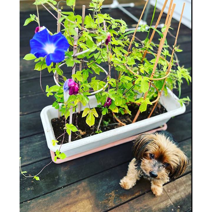 27b7265b dbbb 4d5c 832f f2b1f62e77cd 1691530263985