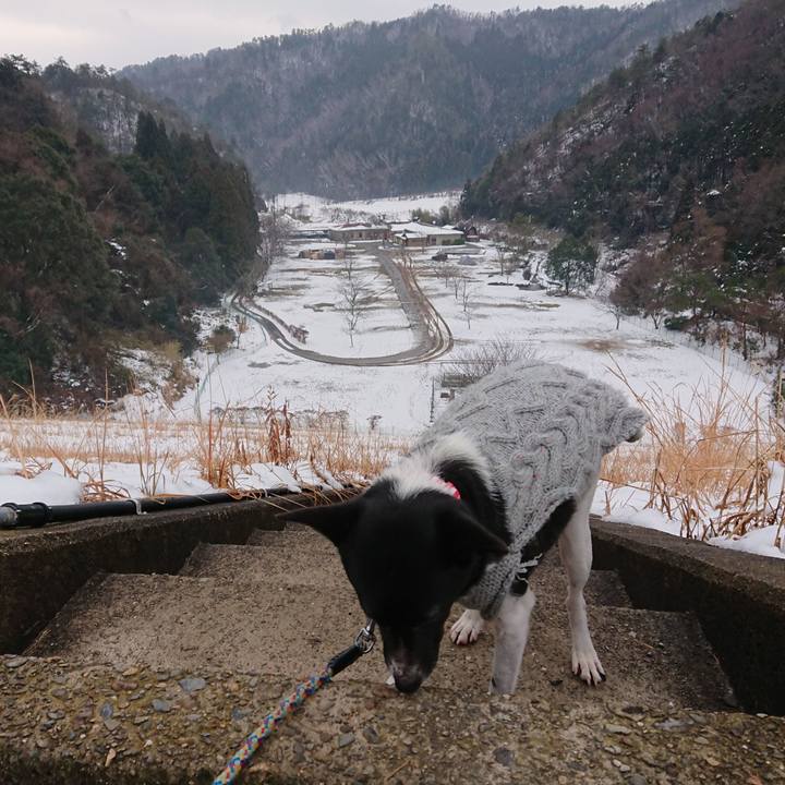 27b74d8a 8a33 4a07 852d 16067209a527 1548641511858