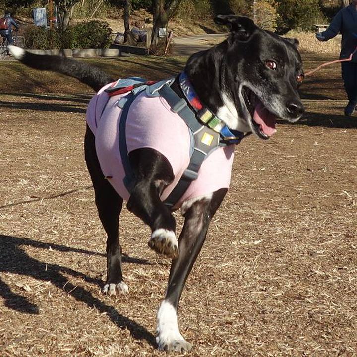 27b7538c 51c0 4edc 8127 a5979896c37d 1707871571512