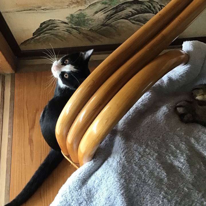 27b77d69 5220 4e45 b802 3ed08cebb2b1 1629264952195