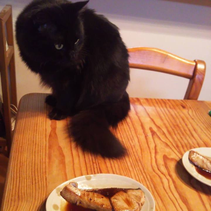 27b7b5c6 2e32 4bf1 92fb 6667d63947c5 1522671250069