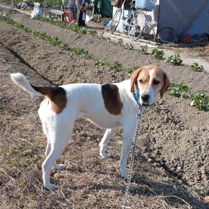 27b7d59b 3f72 4539 a918 2ee6a93650a7 1610696013442