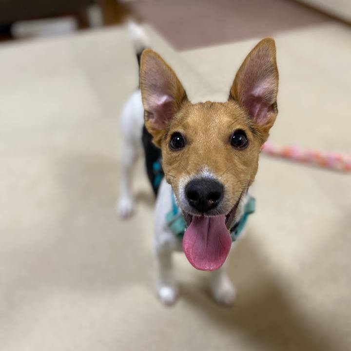 27b7d98f 0471 4e01 9266 738c25ec38d2 1751548329160