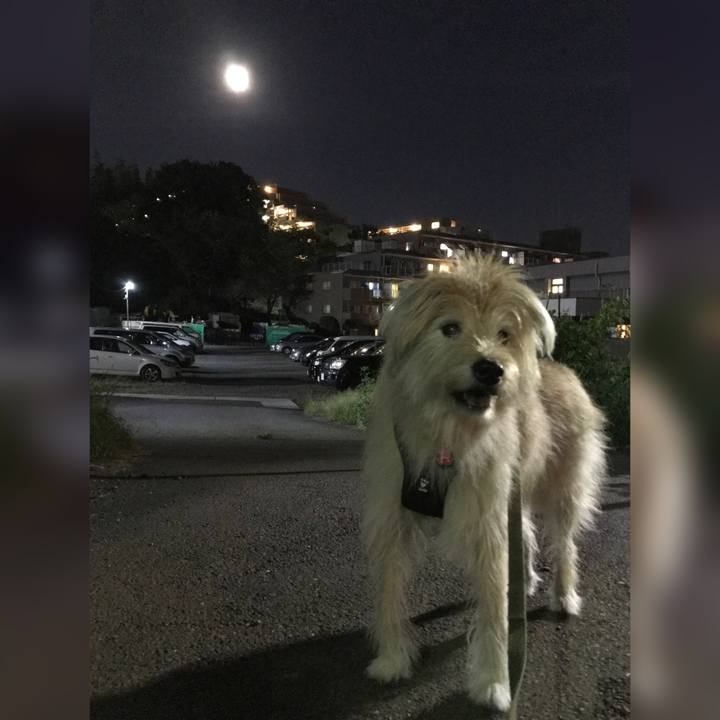 27b7e3cb 681a 4b8b ac90 2defdf895be9 1632052481278