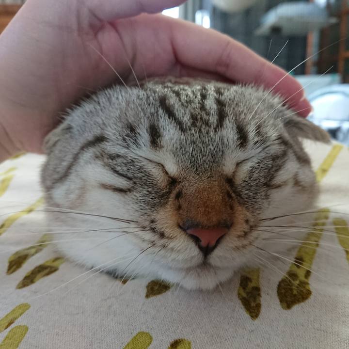 27b80bc7 b588 4a38 be9a 8f029dadc297 1563684032310