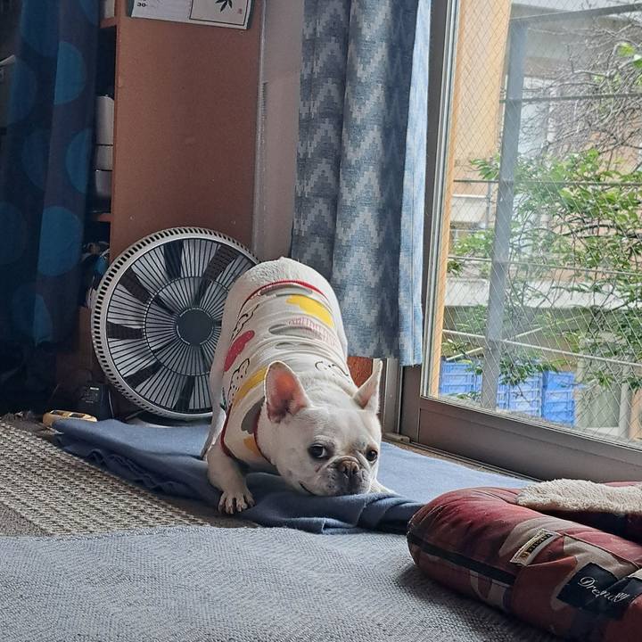 27b81f97 5e2c 4e26 b4e5 7ac1f0c22725 1745621887859