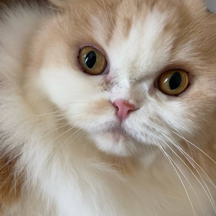 27b83135 ab51 4818 be49 df89a2102a42 1653193382901