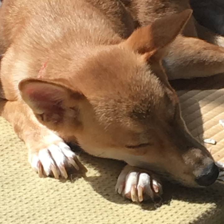 27b851cf 60ec 4e84 86d7 69aec4157e42 1508330455799