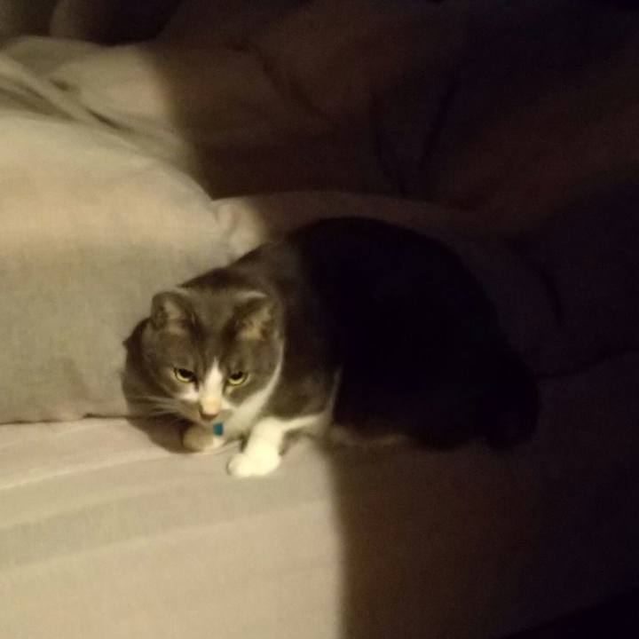 27b8714c f4fa 474b 964f 60b92572ae39 1639432418494