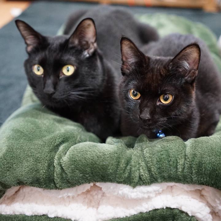 27b89ae1 2e54 450d bf11 cafdd083658e 1510875146874