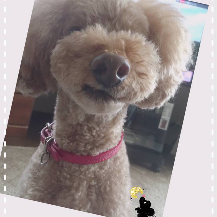 27b89fd2 2130 4a62 ba2b bc9614841cc6 1530171749576