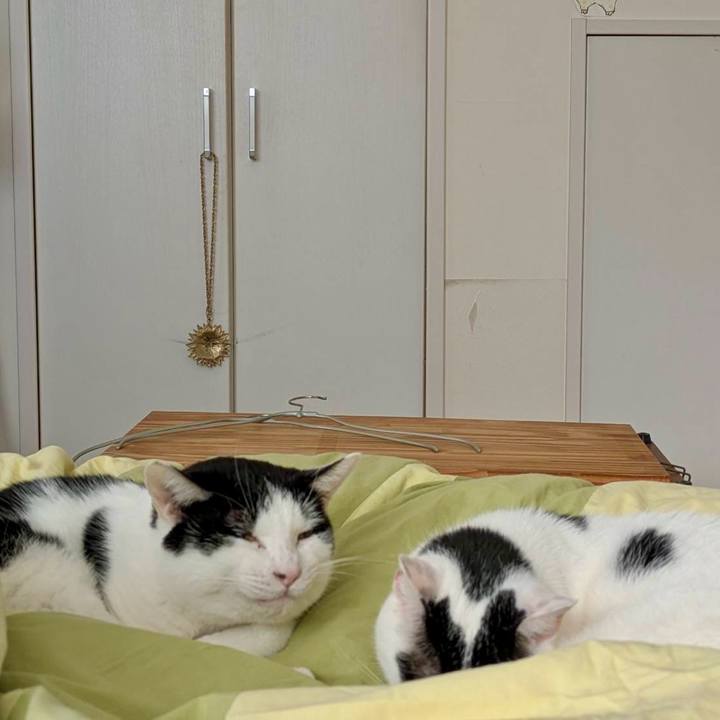 27b8dd70 6a04 45a6 b782 bebaa6daba17 1770515251872