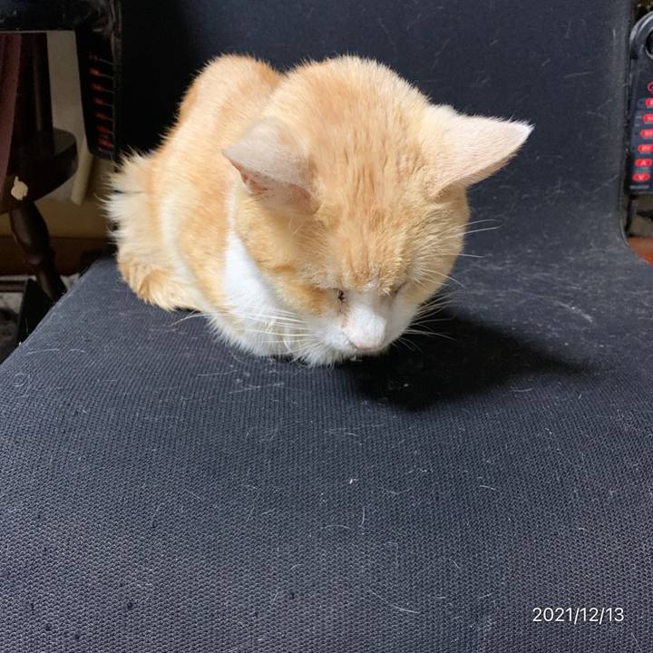 27b90798 0741 4fdf 8ea9 c32ec6564205 1639403610522