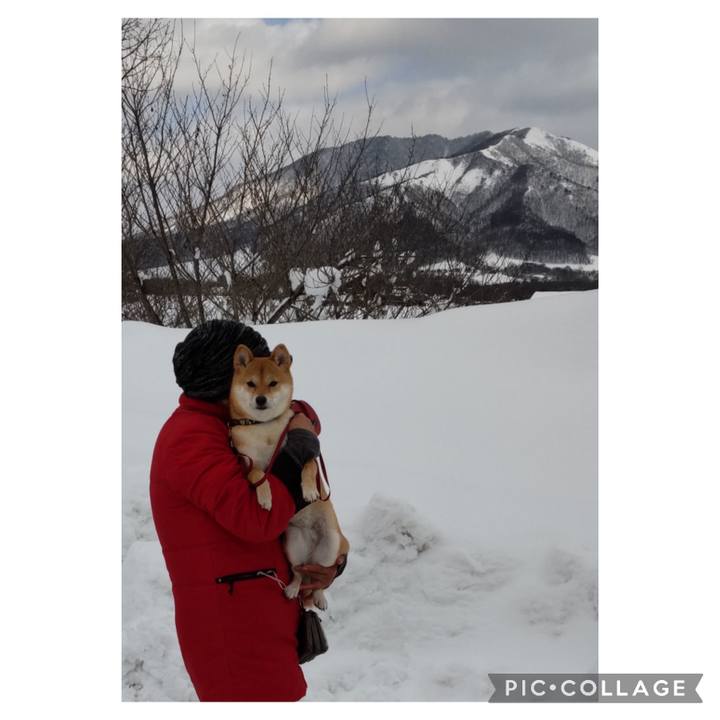 27b915fe 76a6 4c3f 845d 4f30a3553956 1675157599505