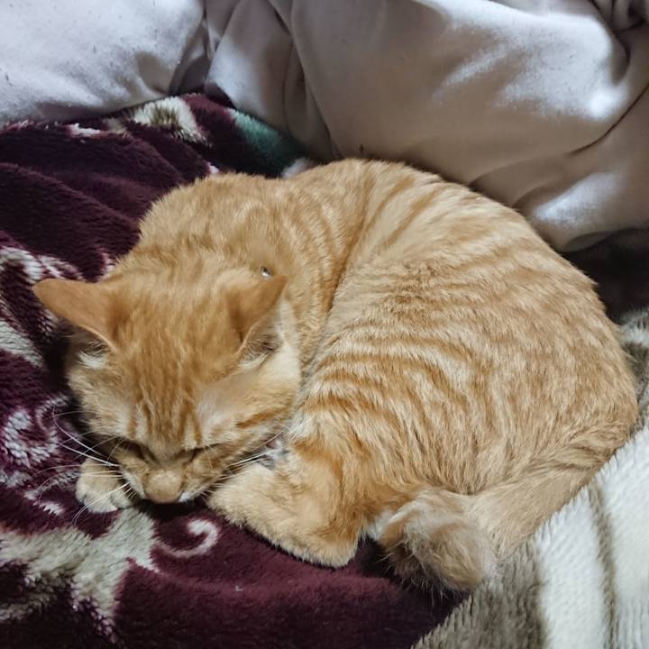 27b9378b 2721 4a45 a808 71566c7b9e6c 1636630309653