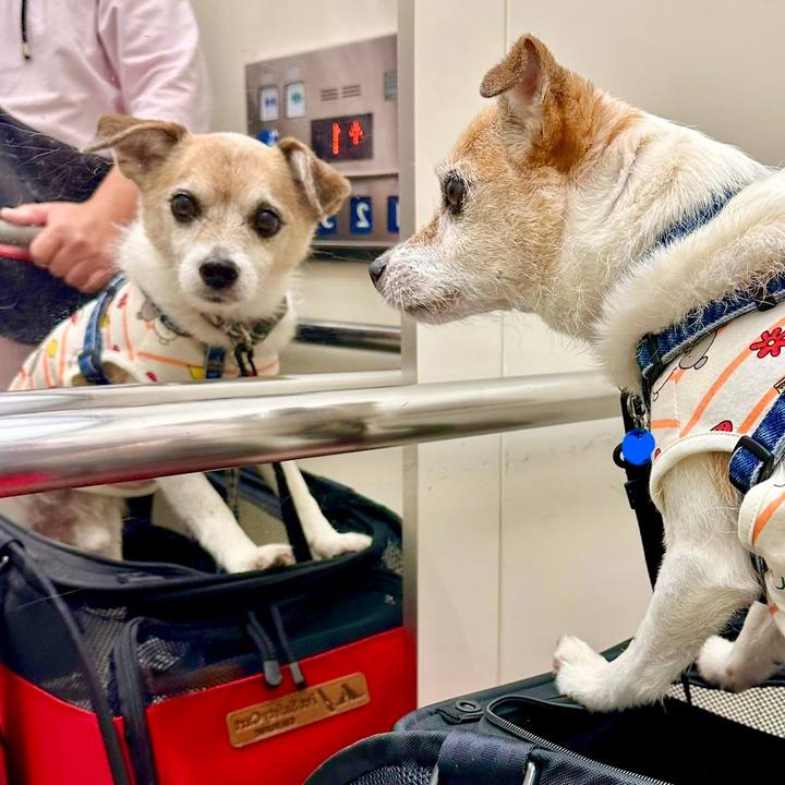 27b99979 d6c0 49eb a7ea aae050db2b12 1685197236164