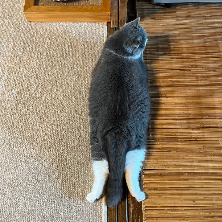 27b9a23e 9a69 45b8 954a 1d0108a30789 1689390583607