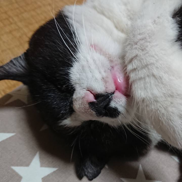 27b9fd92 c472 424b 9cee 2c3e420517e3 1654774106177