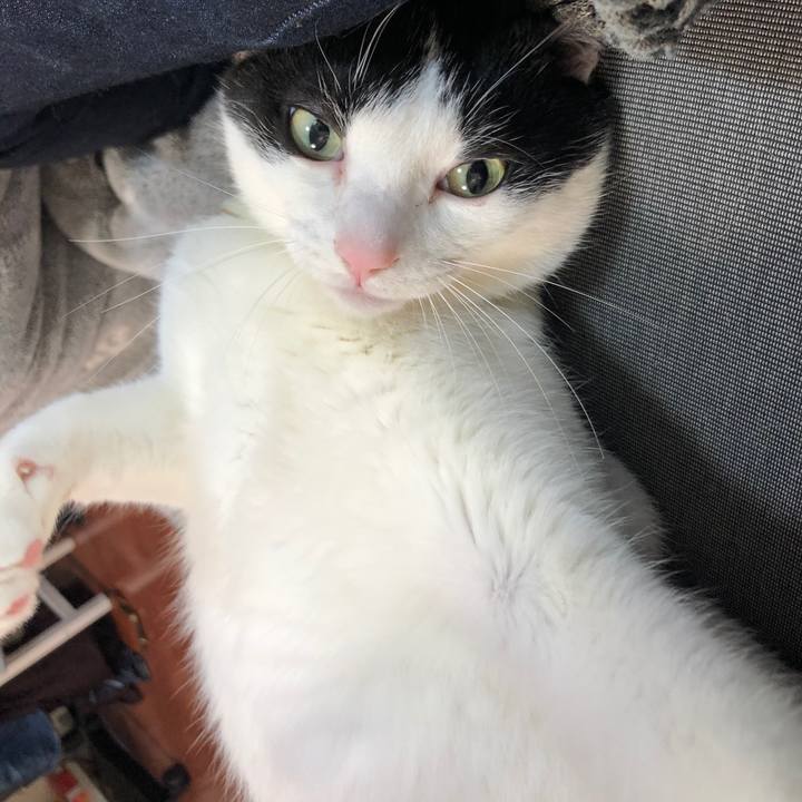 27ba48f7 6e81 4f5a 9886 8a89b5e292dc 1519472214310