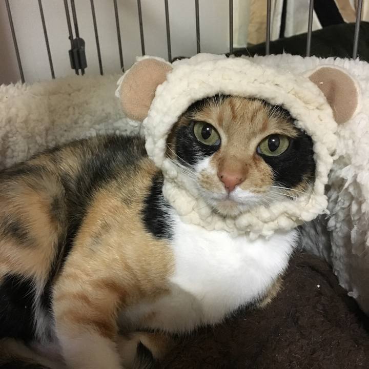 27ba6257 fcae 4fe5 8e4b be15dfc42354 1517476018313