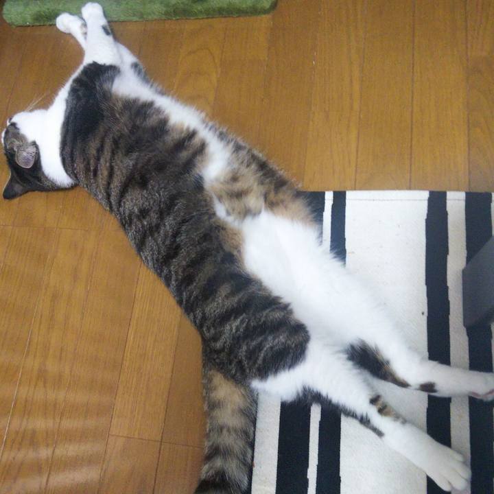 27ba6eee 652d 4ba7 8b0d d5abc027bdd1 1656548446602