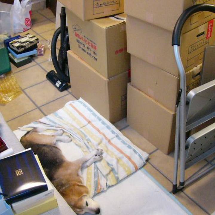 27baa453 ad9d 4162 a217 7561902c5d75 1749447522488