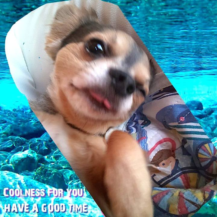 27bad0b0 de67 4773 a96d 40ffbe5fd213 1628230122920