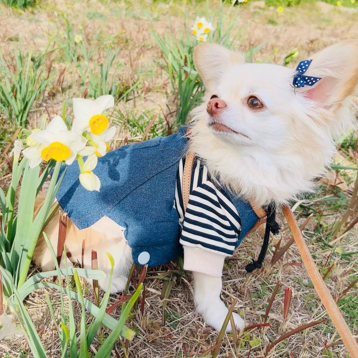 27badc96 dded 4f49 894d 0bdd9967b5ce 1705644251587