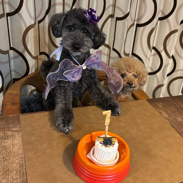 27bae62b c8bf 4de2 90d3 ca4d24be1535 1738678050057