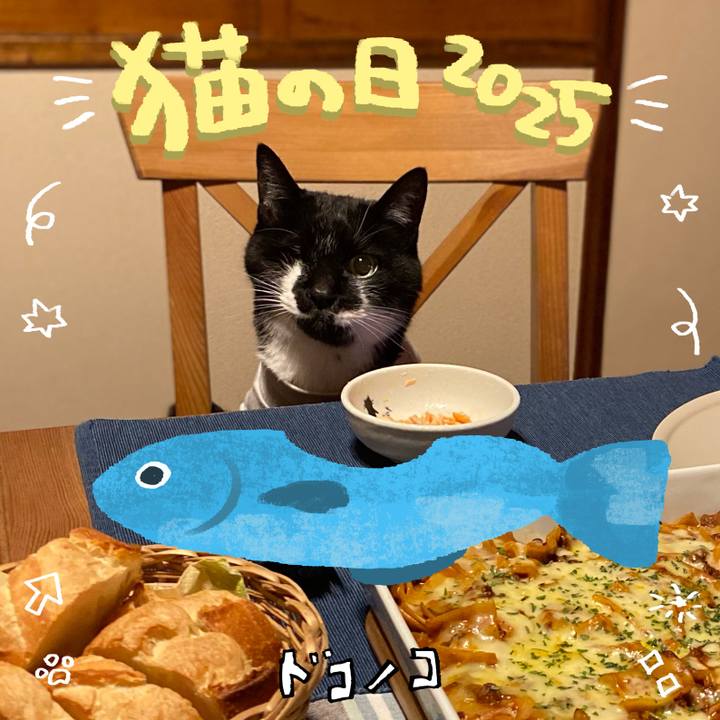 27baf626 46cd 4729 b3e7 b9cb3d7a67f2 1740226823546