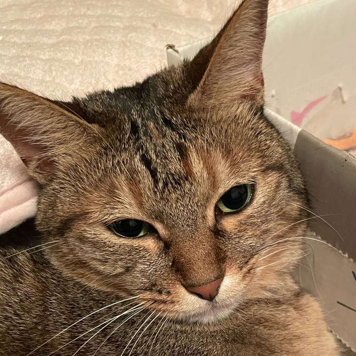 27bb3175 7408 49c9 b854 79bd13b7e770 1631110318122