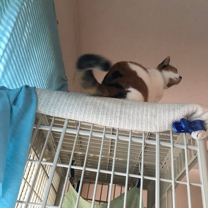 27bb7cfa 7b8b 43e9 a6cb 4fb72c7c1c4b 1561005633160