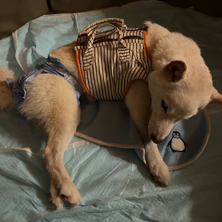 27bb93a3 4122 4015 808d 09a9ccd34fa8 1660412210783