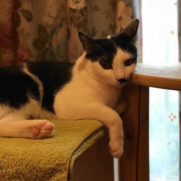 27bba41b f5f2 4ef9 9654 c24ea9eec117 1508109716379