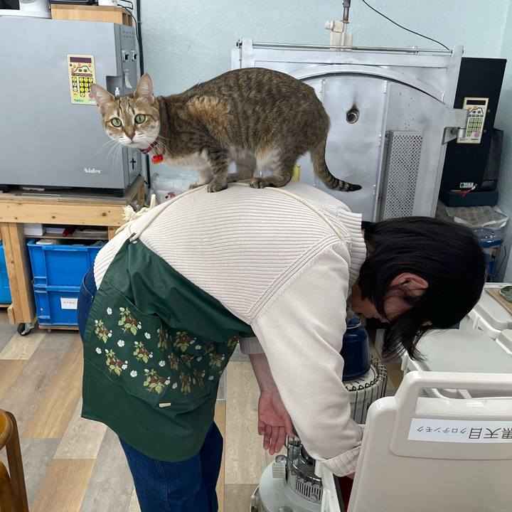 27bbbe9b 43d2 43d2 b667 489c26ebf298 1744508590936