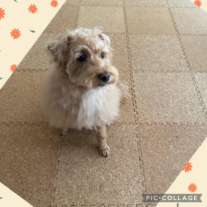 27bc8a50 3d3a 429c 8df3 ff7ec4241448 1675560223018