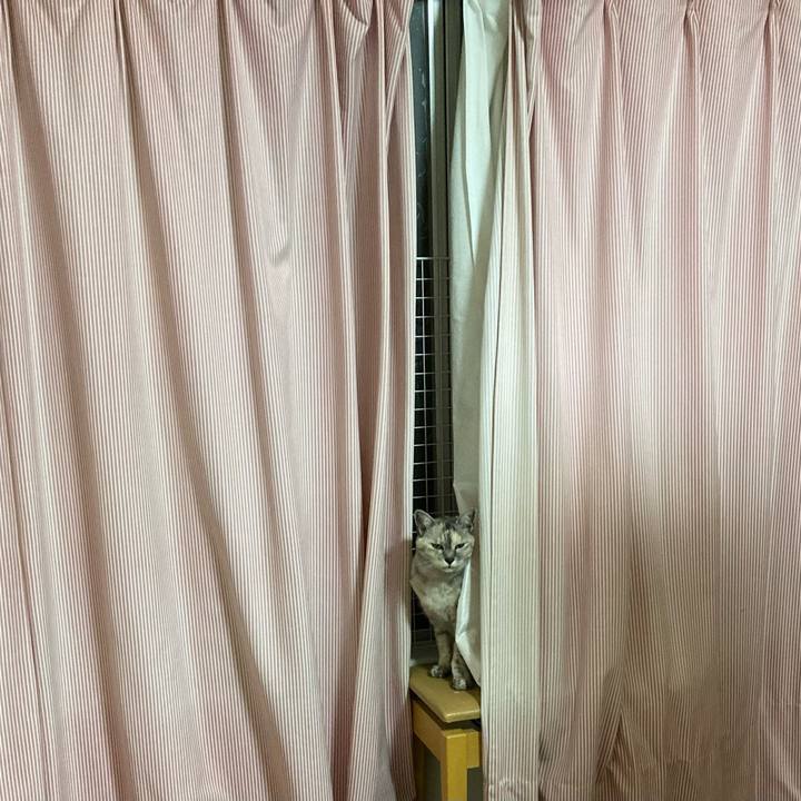 27bce496 c7e2 4151 800f c8bf712ed91b 1690300847684