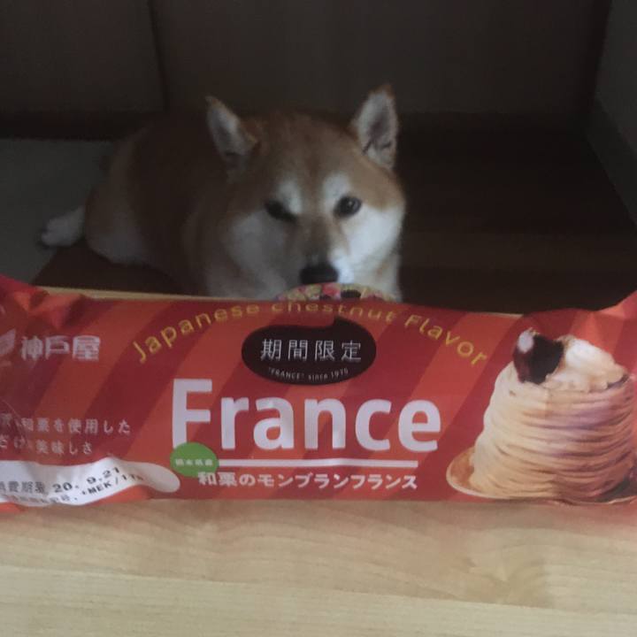 27bce629 9283 46a0 ab3c af93868b4b81 1600396631629