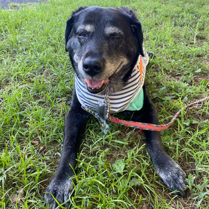 27bd1682 0f40 4357 bf64 57e68bb40b27 1692950874984