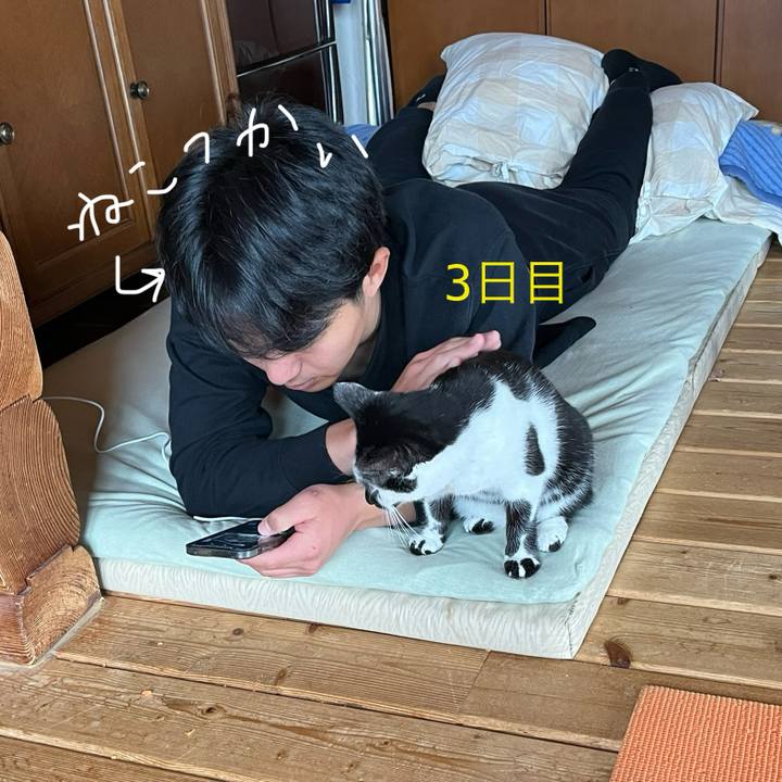 27bd2072 1614 47d9 b91c a764c6c622bd 1736080172359