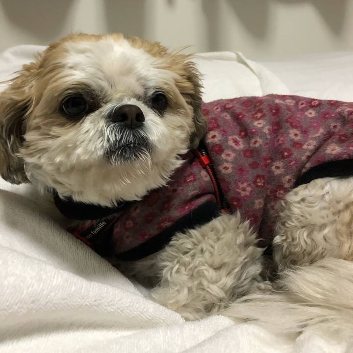 27bd2ede d9ab 450c b647 5dfde2f603e8 1581025509881