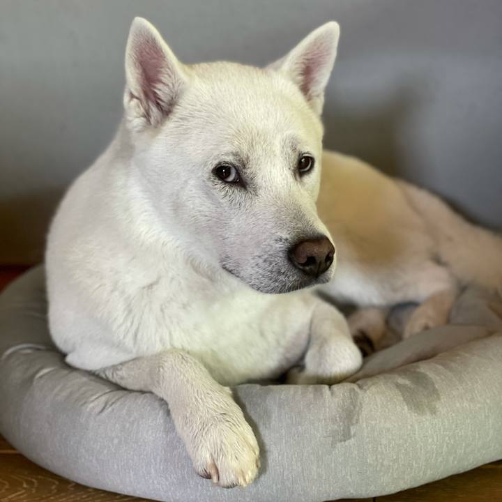 27bd3f82 ebf4 4466 806f b3607ab6619e 1620014413438