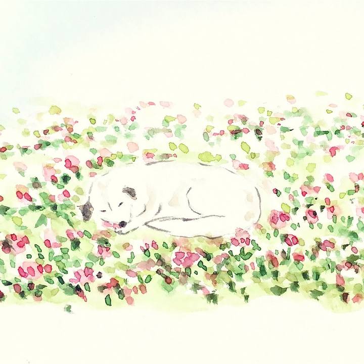 27bd4482 a3e2 4591 9a63 3826122f4029 1639567403476