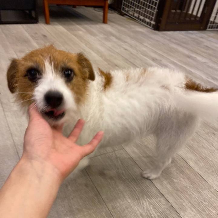 27bd838c ef1d 48cb 8d84 b4c821f2d164 1572102848572