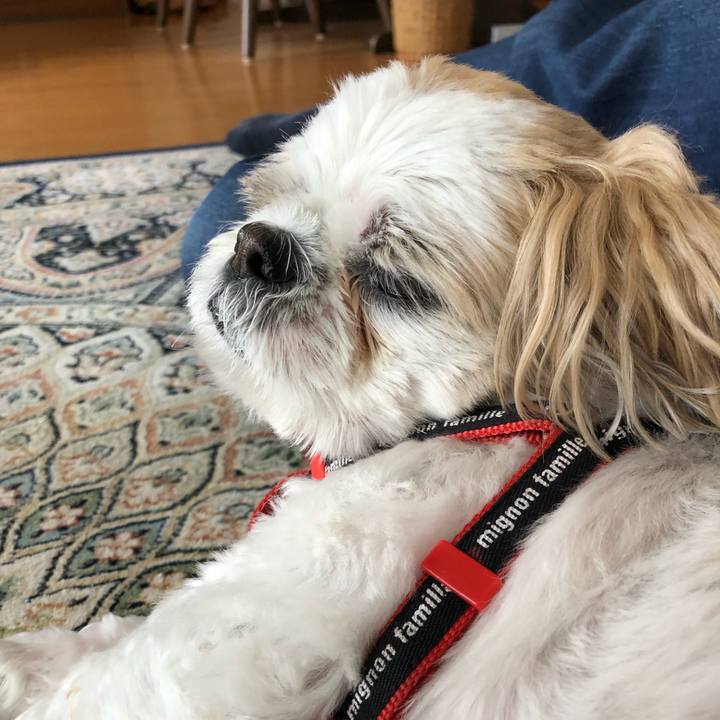 27bd89f9 48d2 4b1f 915a 016ffed38342 1565587561439