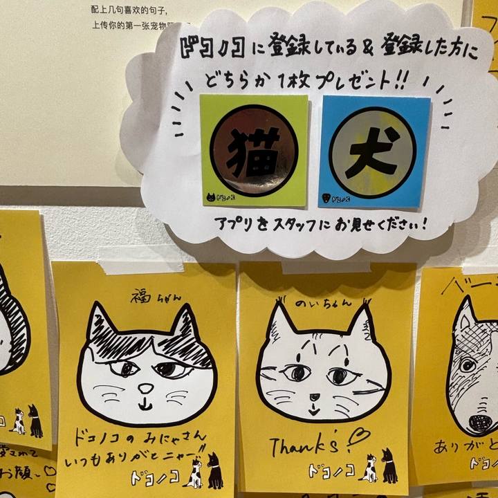 27bdc4ee 1c1f 4821 9dbf 962b4852f862 1761651730569