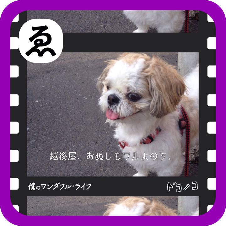 27bdc9ab 048e 4d60 a811 d09428608cb7 1515215958108