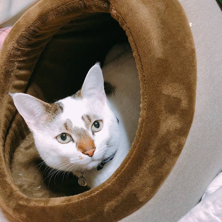 27bdf134 c26e 465e 842a e20e71456a2a 1517154615500